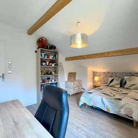 Maison 8p Piscine Aix-les-Bains